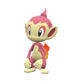 Buy Shiny Chimchar
